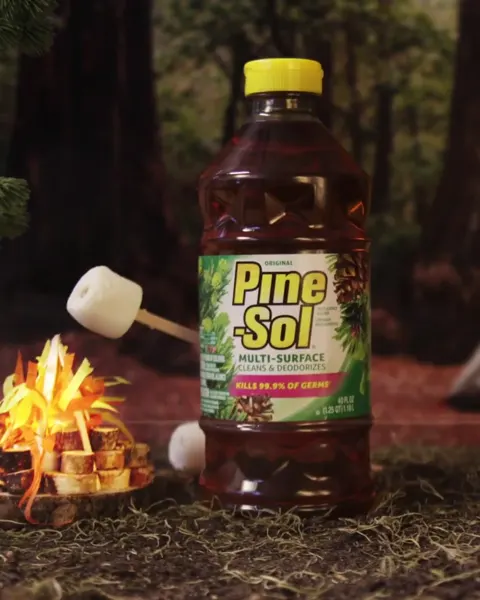 Pine-Sol camping campaign campaign content sample